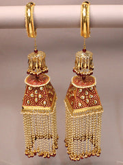 Pushkar Kaleeray-Maroon