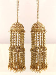 Aastha Kaleeray-Golden